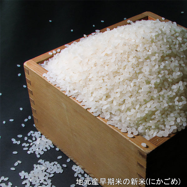 【鹿児島限定】小鹿の郷 25° 1800ml -芋焼酎-
