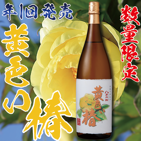 【季節限定】黄色い椿 25° 1800ml -芋焼酎-